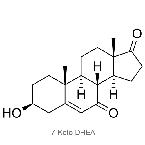 7-кето-ДГЭА структурная формула