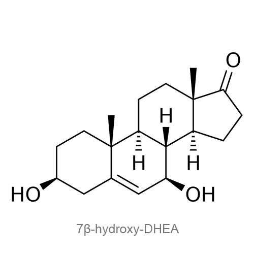 7β-гидрокси-ДГЭА структурная формула
