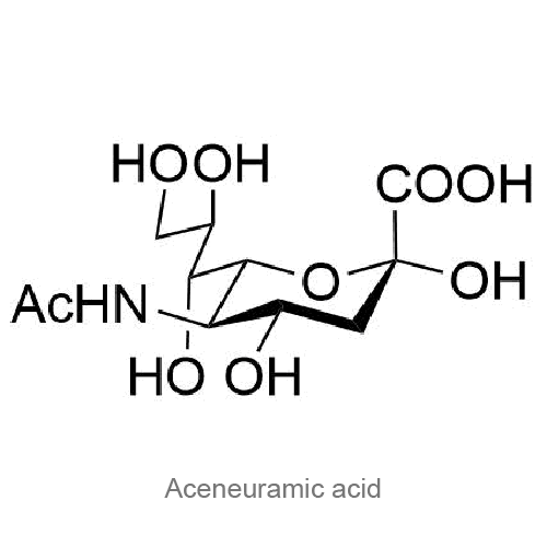 Структурная формула Аценейраминовая кислота