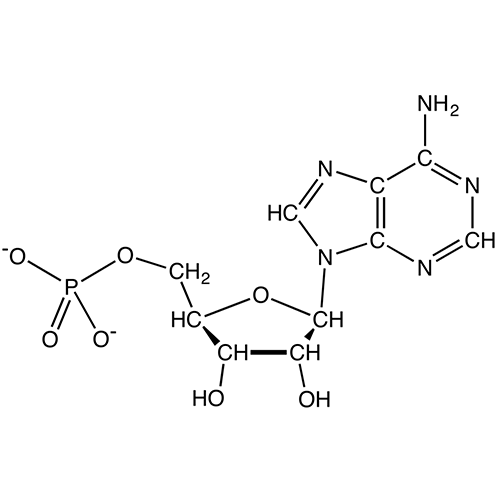 Структурная формула Аденозина фосфат
