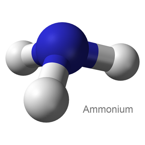 Структурная формула Аммиак + Аниса обыкновенного семян масло