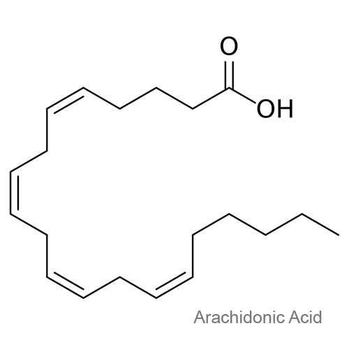 Арахидоновая кислота структурная формула