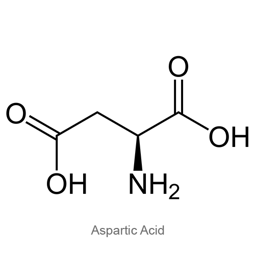 Аспарагиновая кислота структурная формула