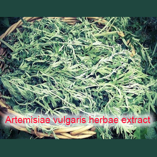 Фото 3 Белладонны листьев экстракт + Валерианы лекарственной корневищ с корнями экстракт + Полыни горькой травы экстракт
