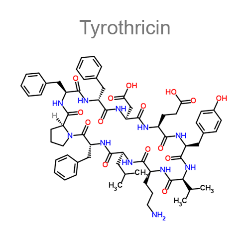 Бензокаин + Тиротрицин структурная формула 2
