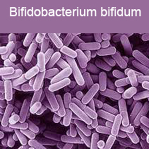 Фото Бифидобактерии бифидум + Лактобактерии плантарум + Облепихи масло