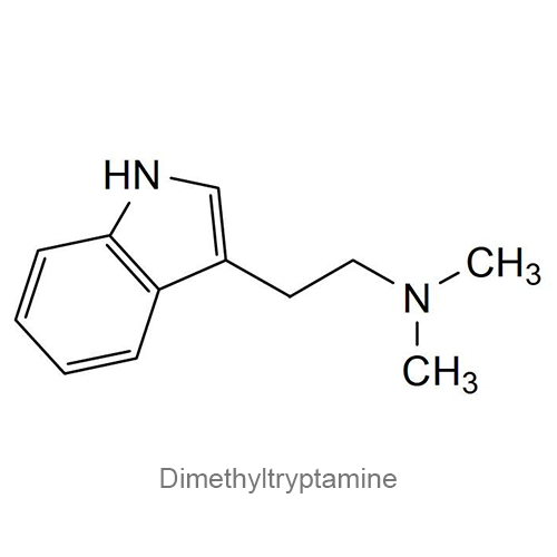 Структурная формула Диметилтриптамин