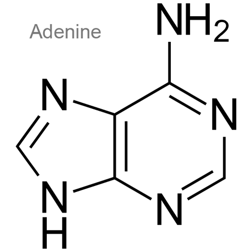 Структурная формула 2 Дисульфирам + Аденин + Никотинамид