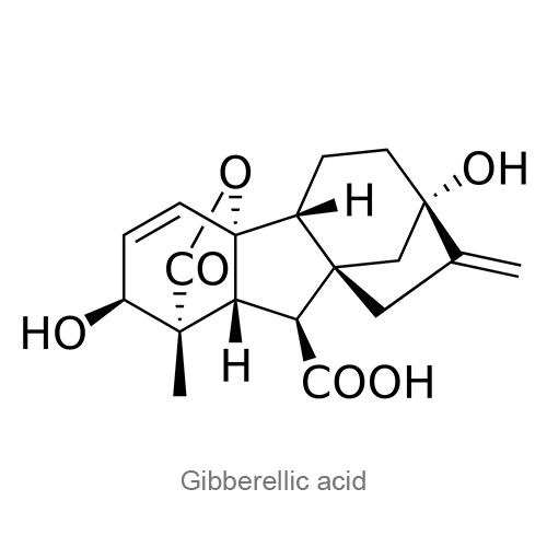 Гиббереллиновая кислота структурная формула