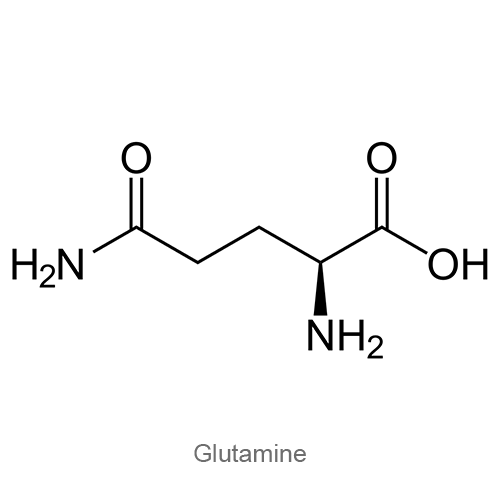 Структурная формула Глутамин