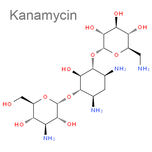 Структурная формула Канамицин + Нитрофурал + [Кальция хлорид + Желатин]