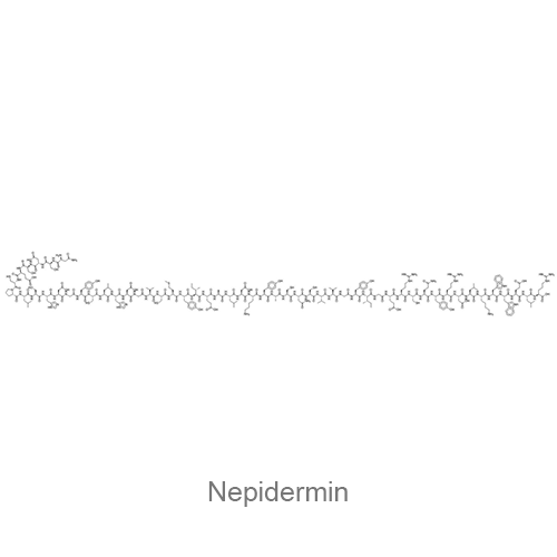 Структура Непидермин