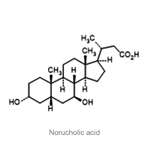 Структурная формула Норухолевая кислота