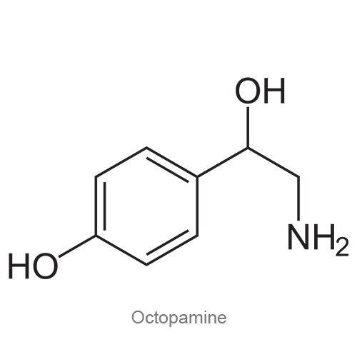 Структурная формула Октопамин