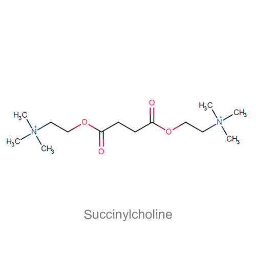 Сукцинилхолин структурная формула