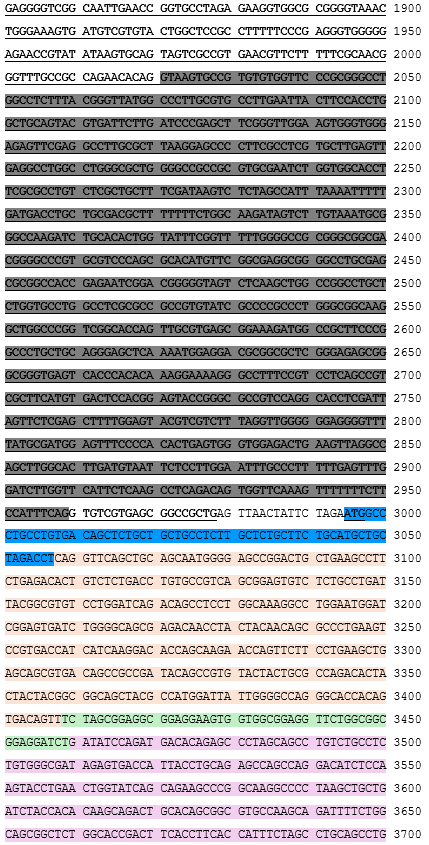 Структура 3 Таликабтаген аутолейцел