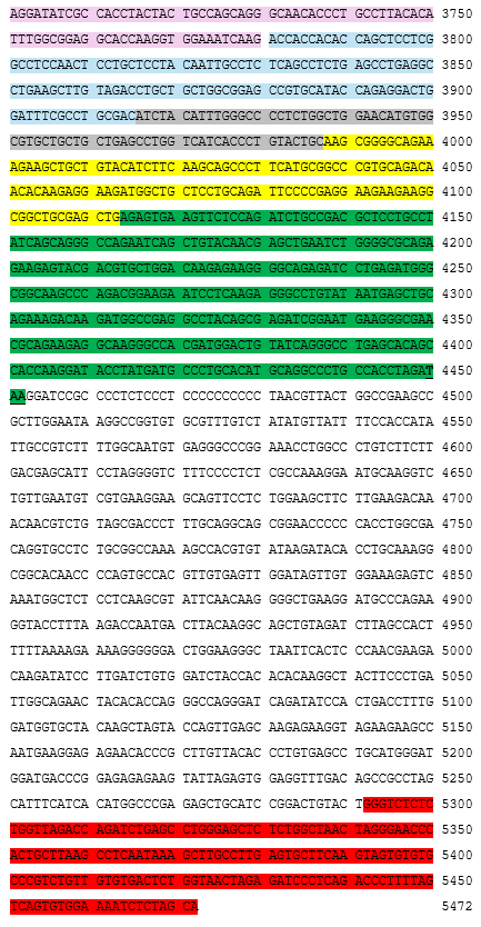 Структура 4 Таликабтаген аутолейцел