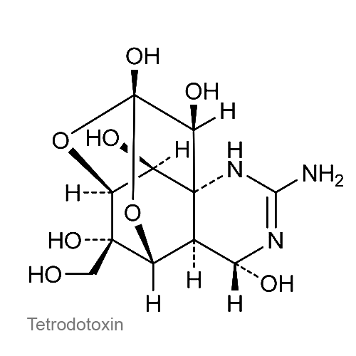 Структурная формула Тетродотоксин