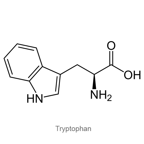 Структурная формула Триптофан