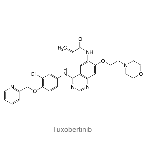Структура Туксобертиниб