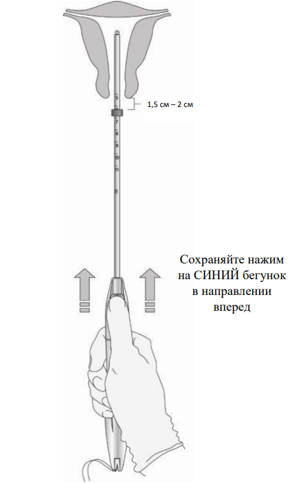 Донасерт Уно