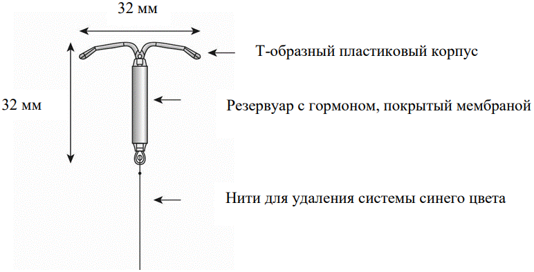 Донасерт Уно