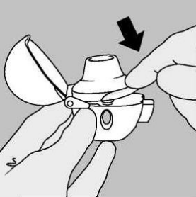 Имбраденид