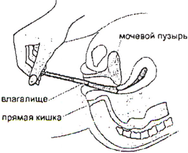 Клиндамакс крем