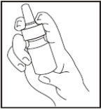 Момат Рино Адванс