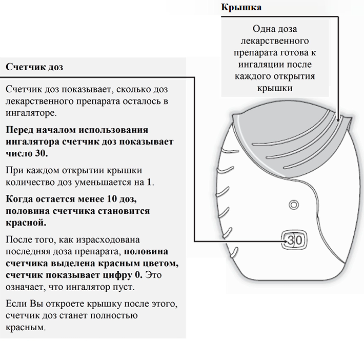 Релвар Эллипта