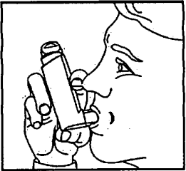 Салтиказон-аэронатив