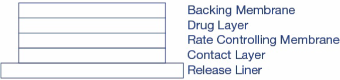 ТРАНСДЕРМ СКОП