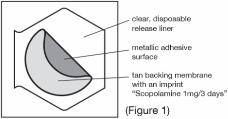 ТРАНСДЕРМ СКОП