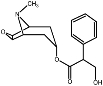 ТРАНСДЕРМ СКОП